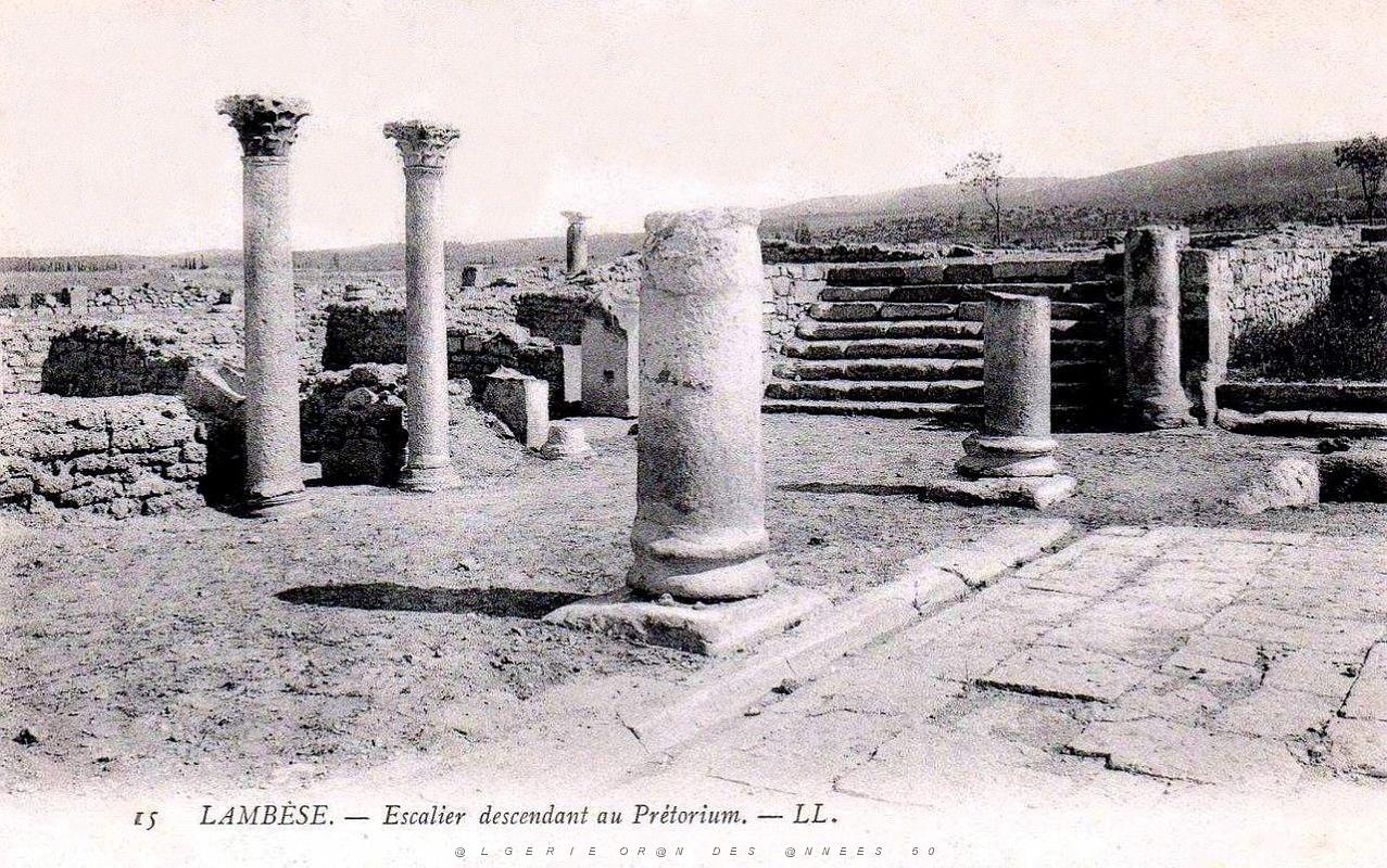 ALGERIE-RUINES ROMAINES DE LAMBESE (20).jpg